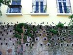 plaza-de-las-palomas-1-4201.jpg