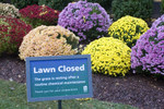 lawnclosed1.jpg
