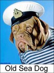 old_sea_dog1.jpg