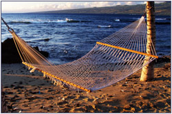 hammock.jpg
